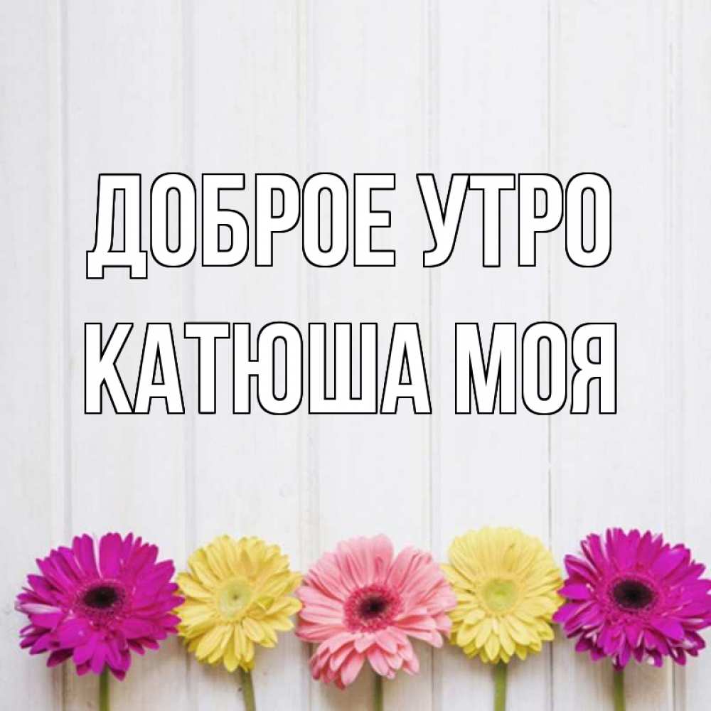 Открытка на каждый день с именем, Катюша-моя Доброе утро красный желтый и розовый цветок Прикольная открытка с пожеланием онлайн скачать бесплатно 