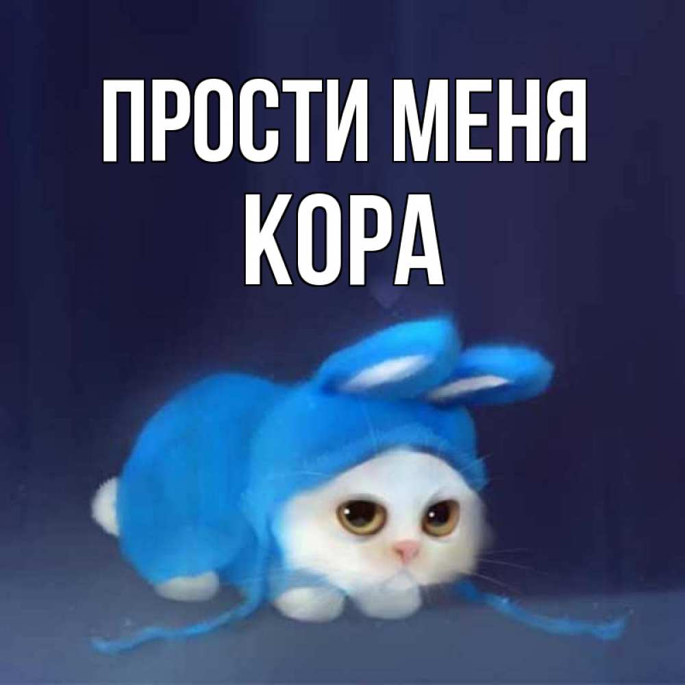 Открытка на каждый день с именем, Кора Прости меня невинный котозай просит прощения Прикольная открытка с пожеланием онлайн скачать бесплатно 
