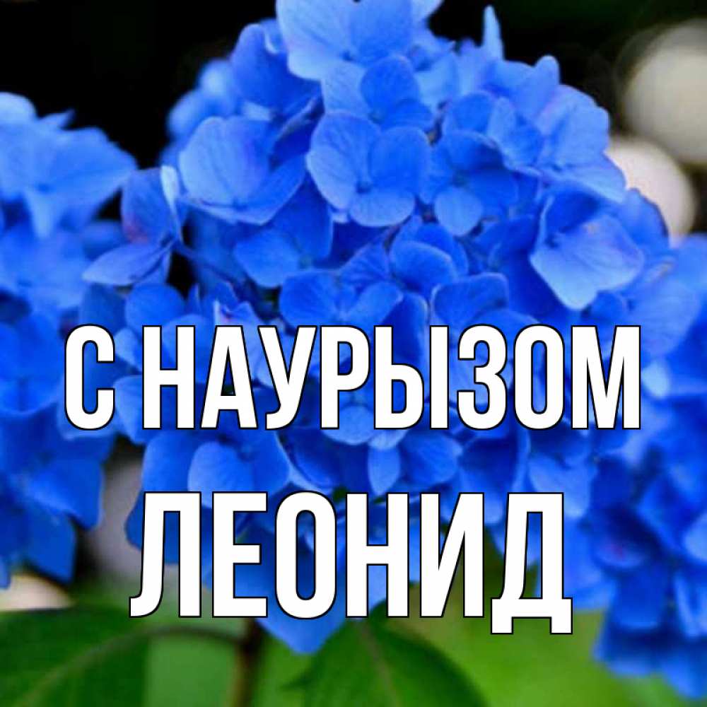 Открытка на каждый день с именем, Леонид С наурызом синие цветы Прикольная открытка с пожеланием онлайн скачать бесплатно 