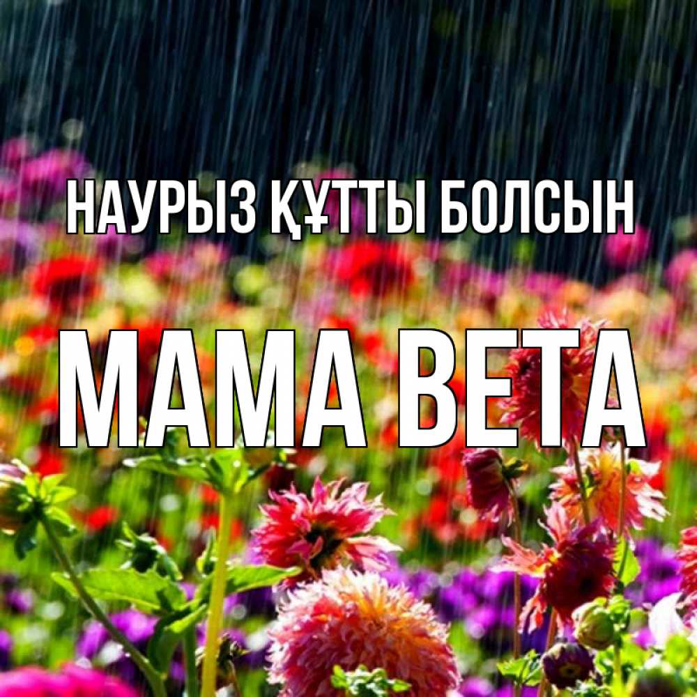 Открытка на каждый день с именем, Мама-Вета Наурыз құтты болсын цветы под дождиком к наурызу Прикольная открытка с пожеланием онлайн скачать бесплатно 