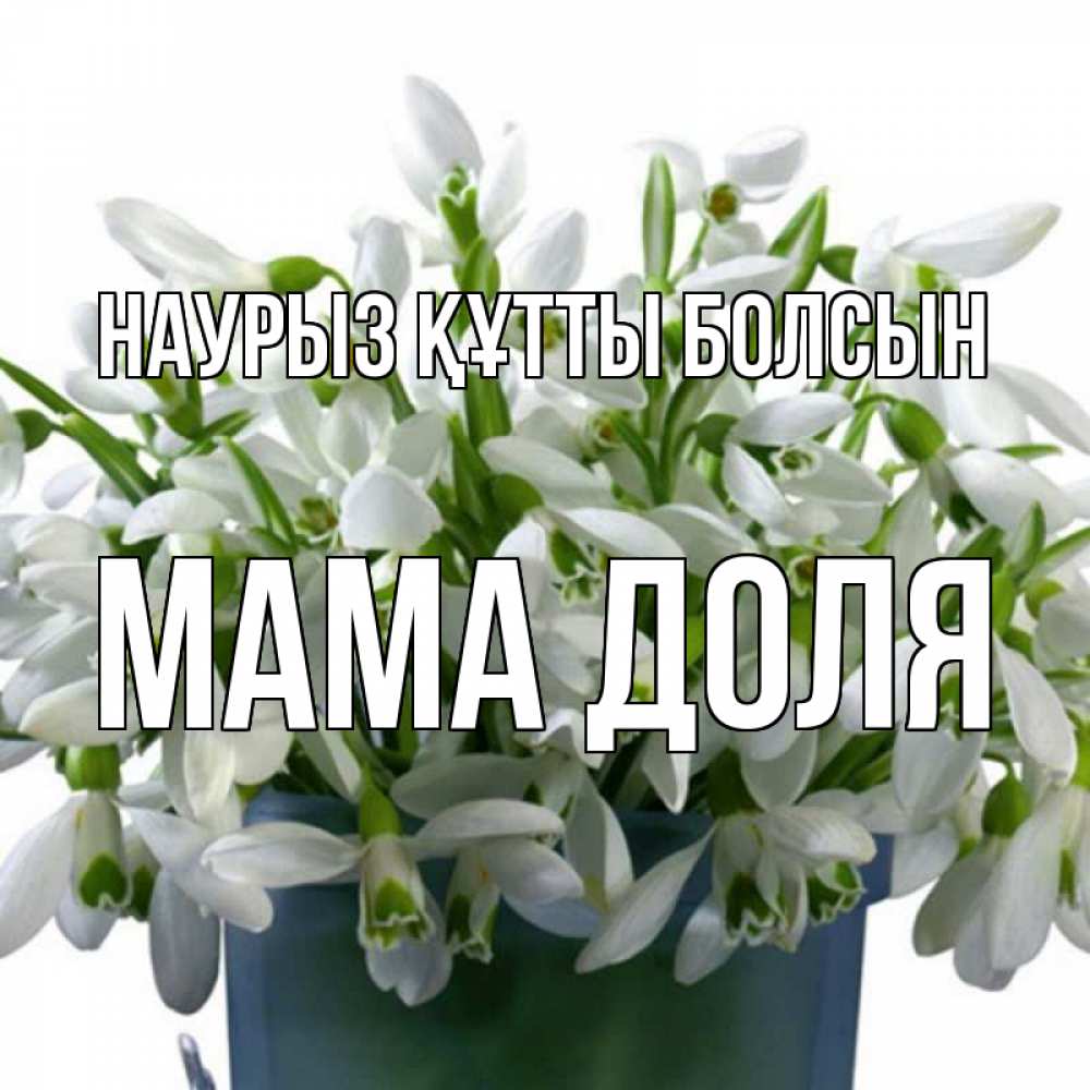 Открытка на каждый день с именем, Мама-Доля Наурыз құтты болсын цветы к наурызу Прикольная открытка с пожеланием онлайн скачать бесплатно 