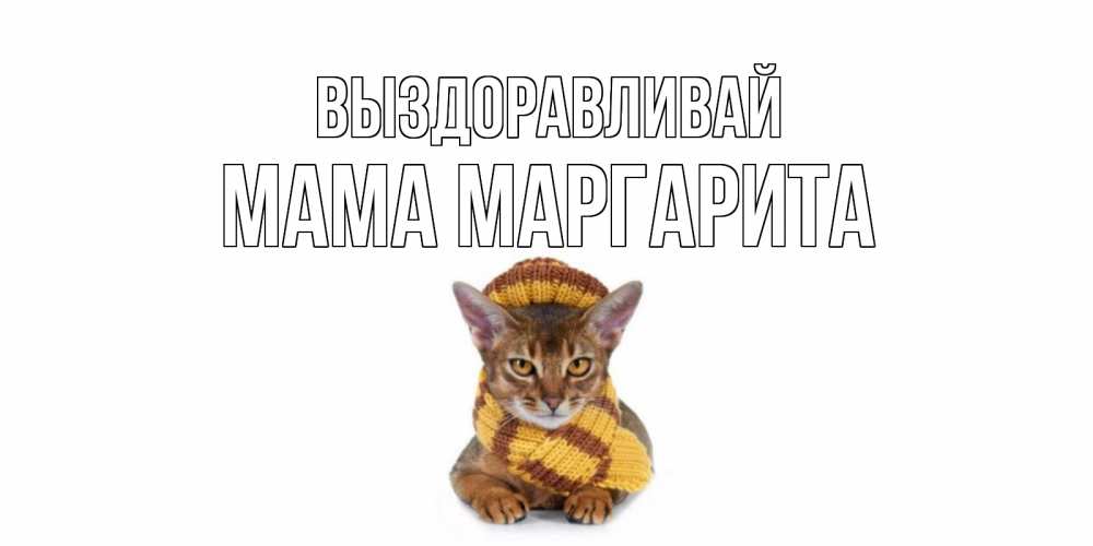 Открытка на каждый день с именем, Мама-Маргарита Выздоравливай родные не болейте Прикольная открытка с пожеланием онлайн скачать бесплатно 