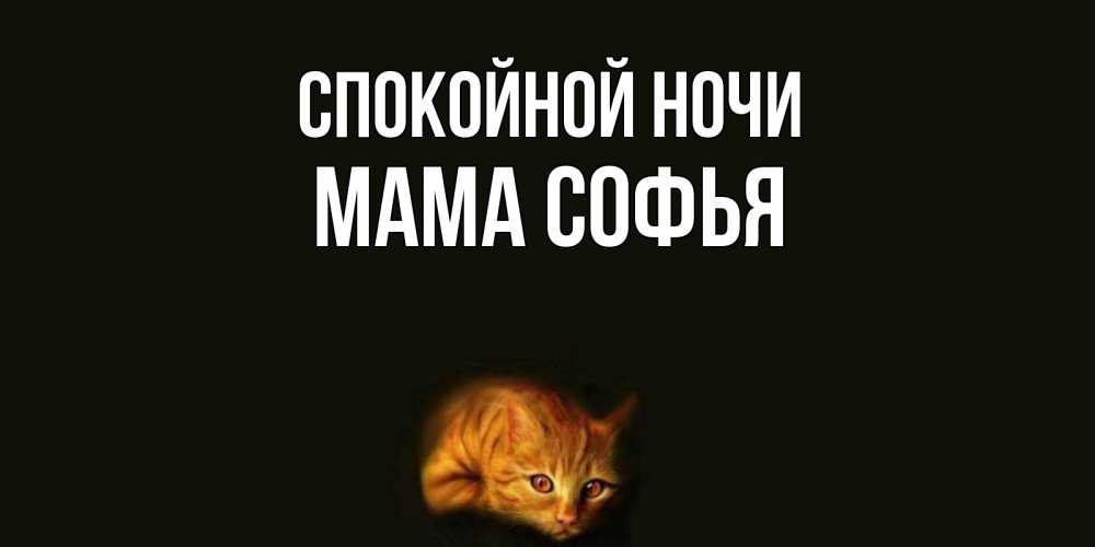 Открытка на каждый день с именем, Мама-Софья Спокойной ночи кот Прикольная открытка с пожеланием онлайн скачать бесплатно 
