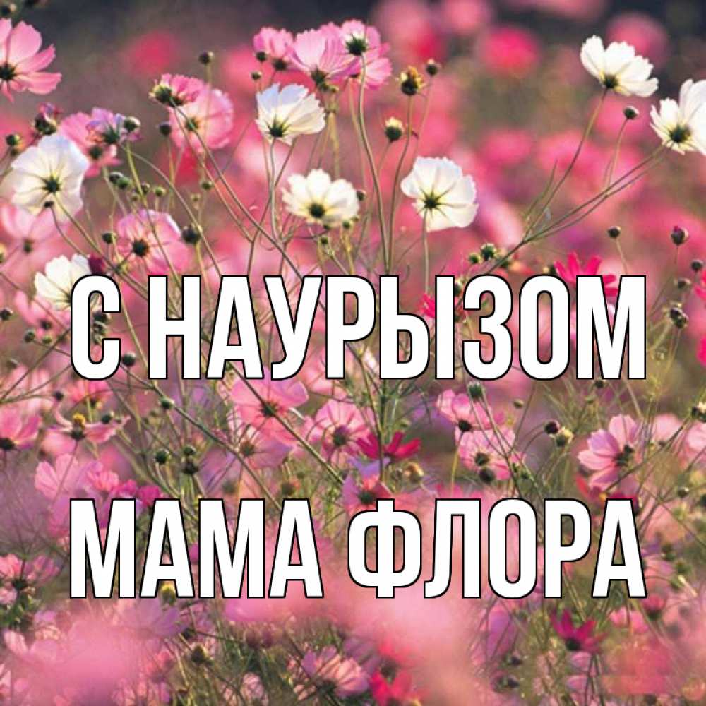 Открытка на каждый день с именем, Мама-Флора С наурызом красиво 1 Прикольная открытка с пожеланием онлайн скачать бесплатно 
