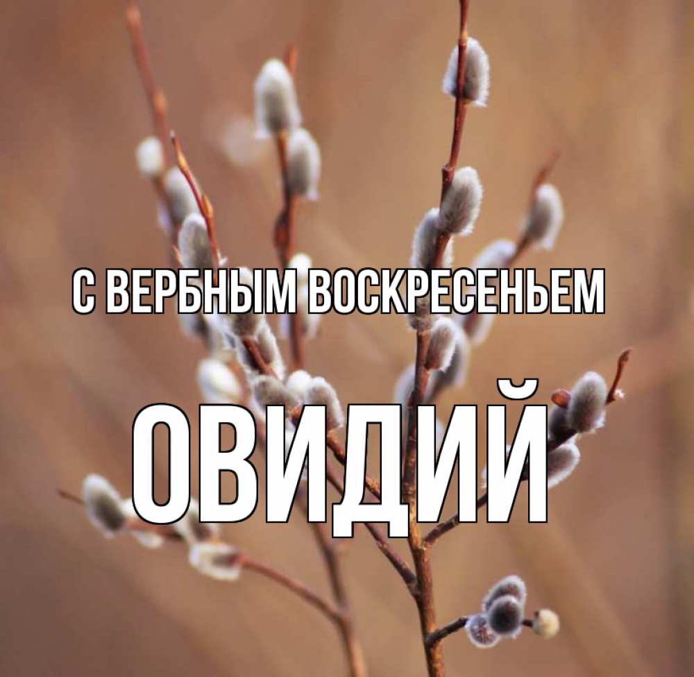 Открытка на каждый день с именем, Овидий С вербным воскресеньем верба Прикольная открытка с пожеланием онлайн скачать бесплатно 