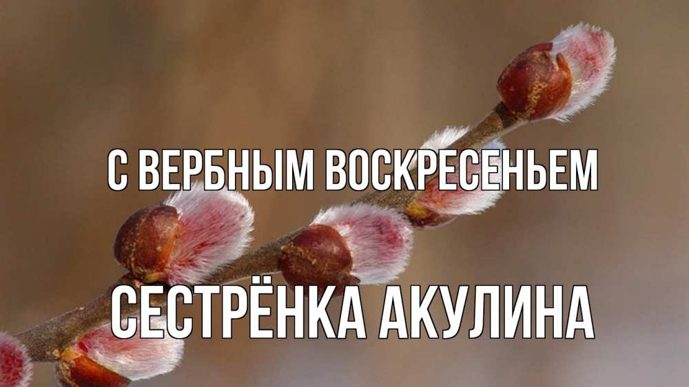 Открытка на каждый день с именем, Сестрёнка-Акулина С вербным воскресеньем верба Прикольная открытка с пожеланием онлайн скачать бесплатно 