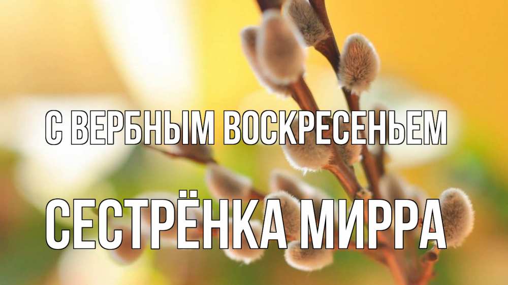 Открытка на каждый день с именем, Сестрёнка-Мирра С вербным воскресеньем верба 1 Прикольная открытка с пожеланием онлайн скачать бесплатно 