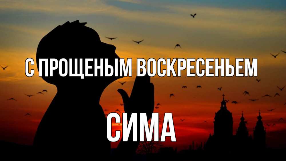 Открытка на каждый день с именем, Сима С прощеным воскресеньем прошу прощения Прикольная открытка с пожеланием онлайн скачать бесплатно 