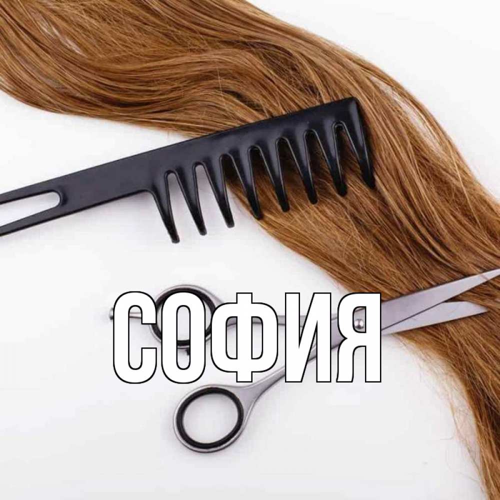 Открытка на каждый день с именем, София Главная с днем парикмахера расческа ножницы Прикольная открытка с пожеланием онлайн скачать бесплатно 