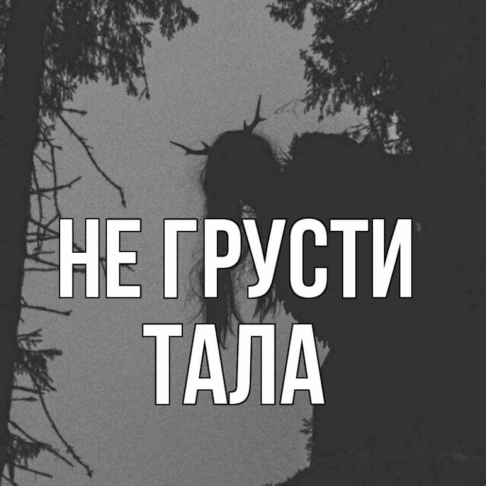 Открытка на каждый день с именем, Тала Не грусти чудище лесное Прикольная открытка с пожеланием онлайн скачать бесплатно 