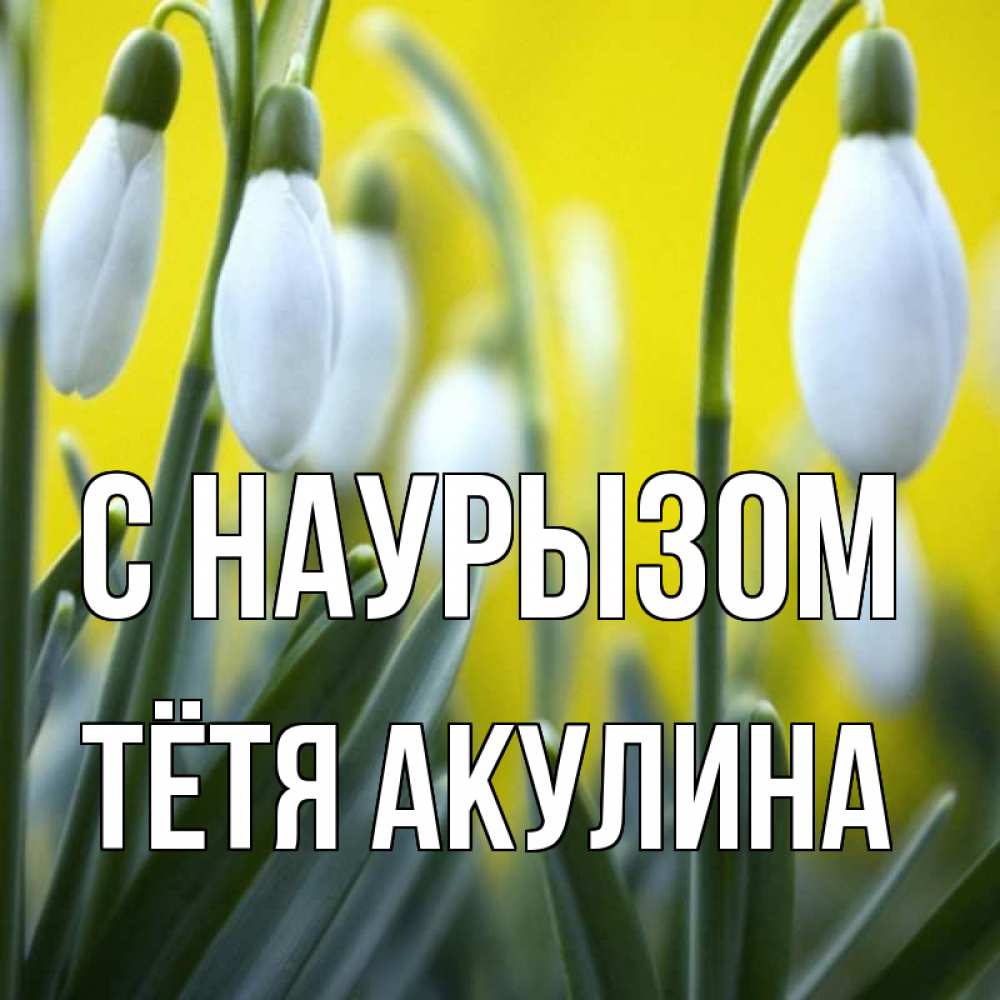 Открытка на каждый день с именем, Тётя-Акулина С наурызом весенние цветы Прикольная открытка с пожеланием онлайн скачать бесплатно 