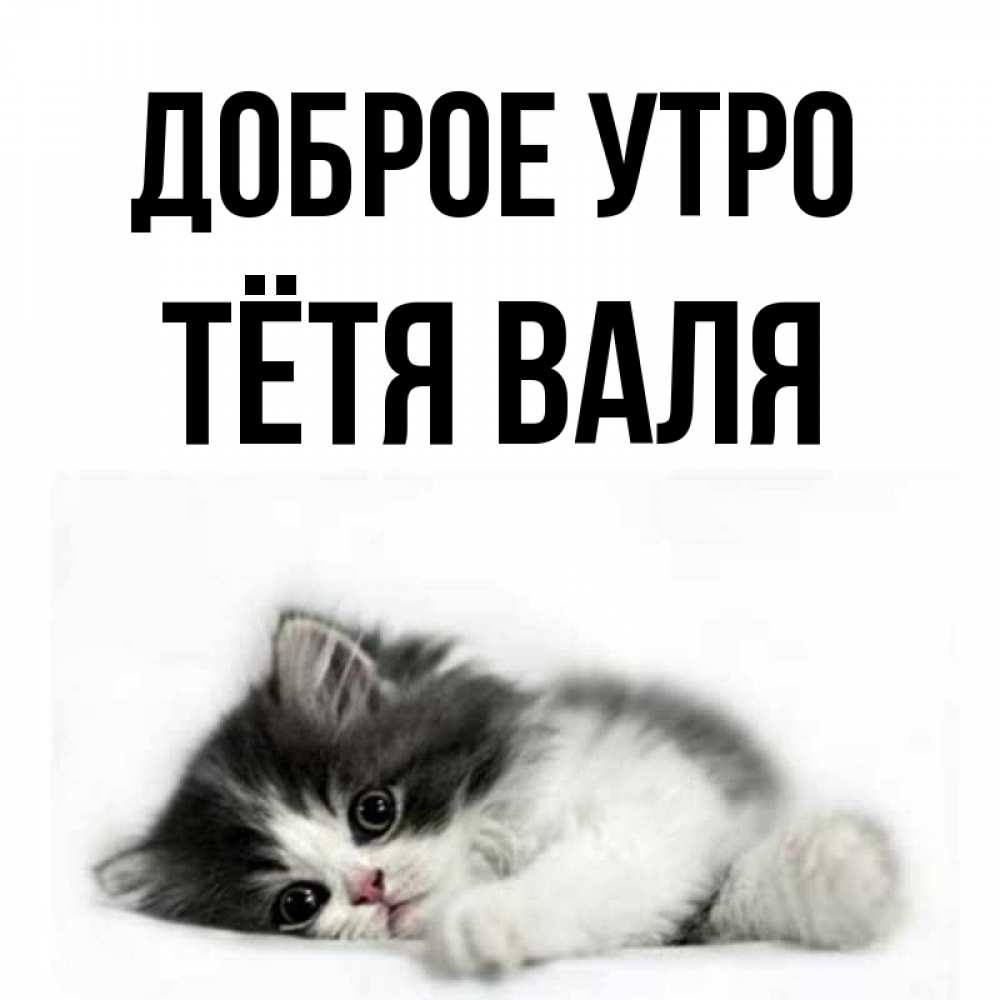 Открытка на каждый день с именем, Тётя-Валя Доброе утро кот лапки Прикольная открытка с пожеланием онлайн скачать бесплатно 