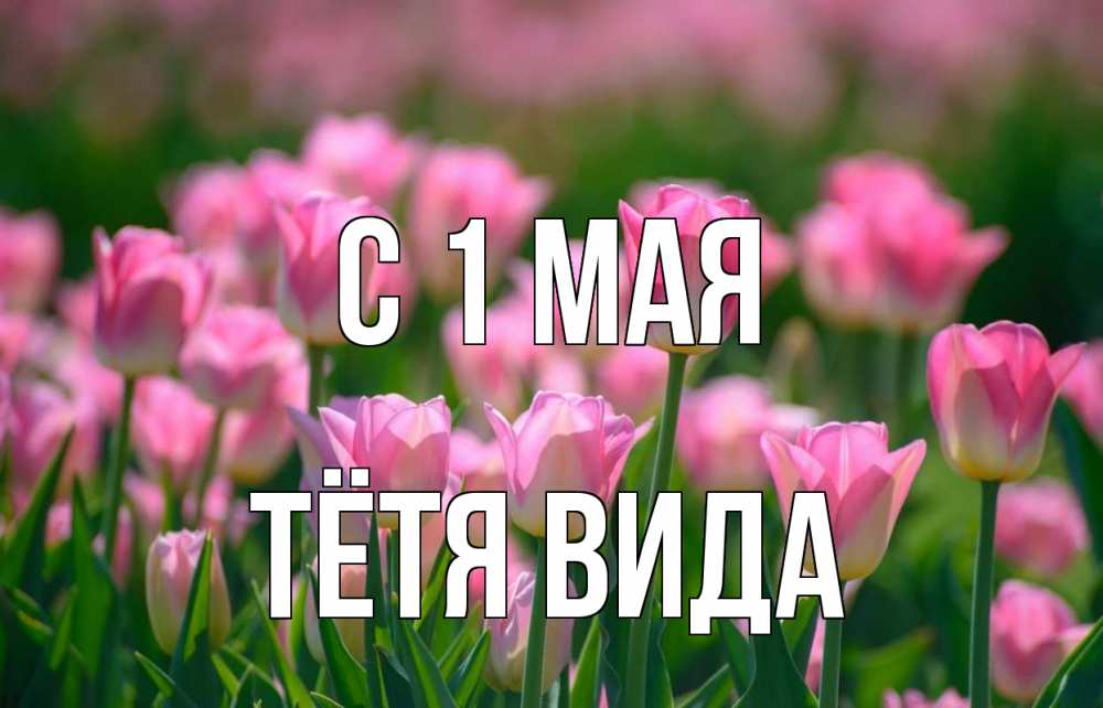 Открытка на каждый день с именем, Тётя-Вида С 1 мая С 1 мая Прикольная открытка с пожеланием онлайн скачать бесплатно 