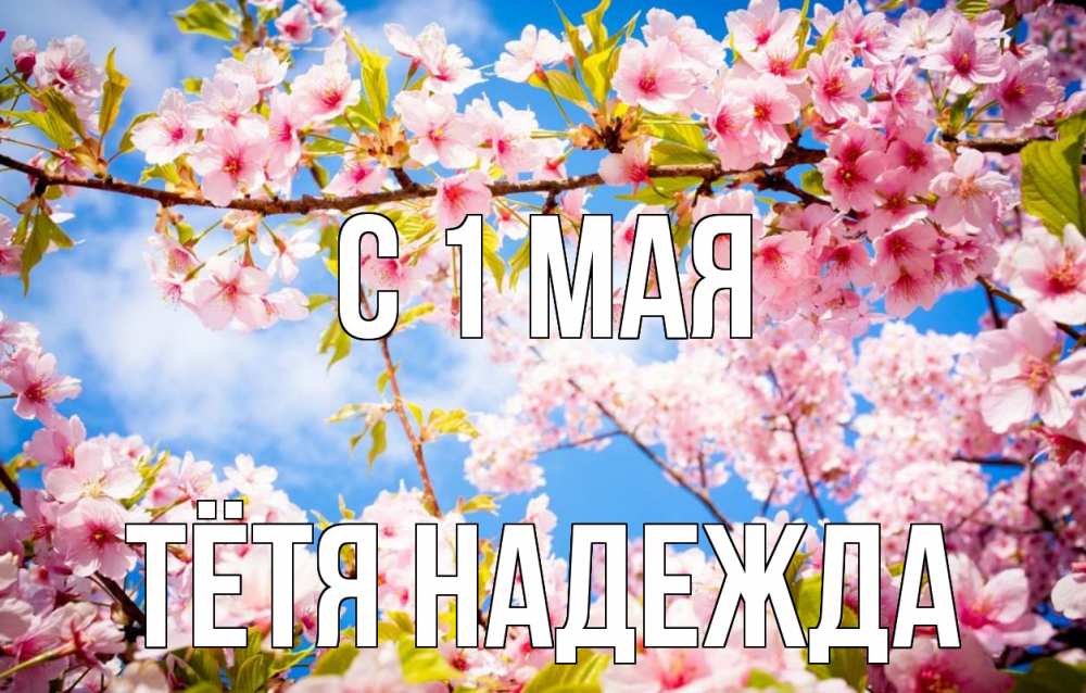 Открытка на каждый день с именем, Тётя-Надежда С 1 мая С 1 мая Прикольная открытка с пожеланием онлайн скачать бесплатно 