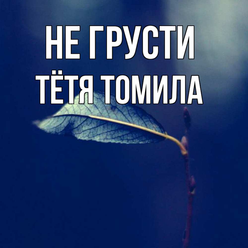 Открытка на каждый день с именем, Тётя-Томила Не грусти растение Прикольная открытка с пожеланием онлайн скачать бесплатно 