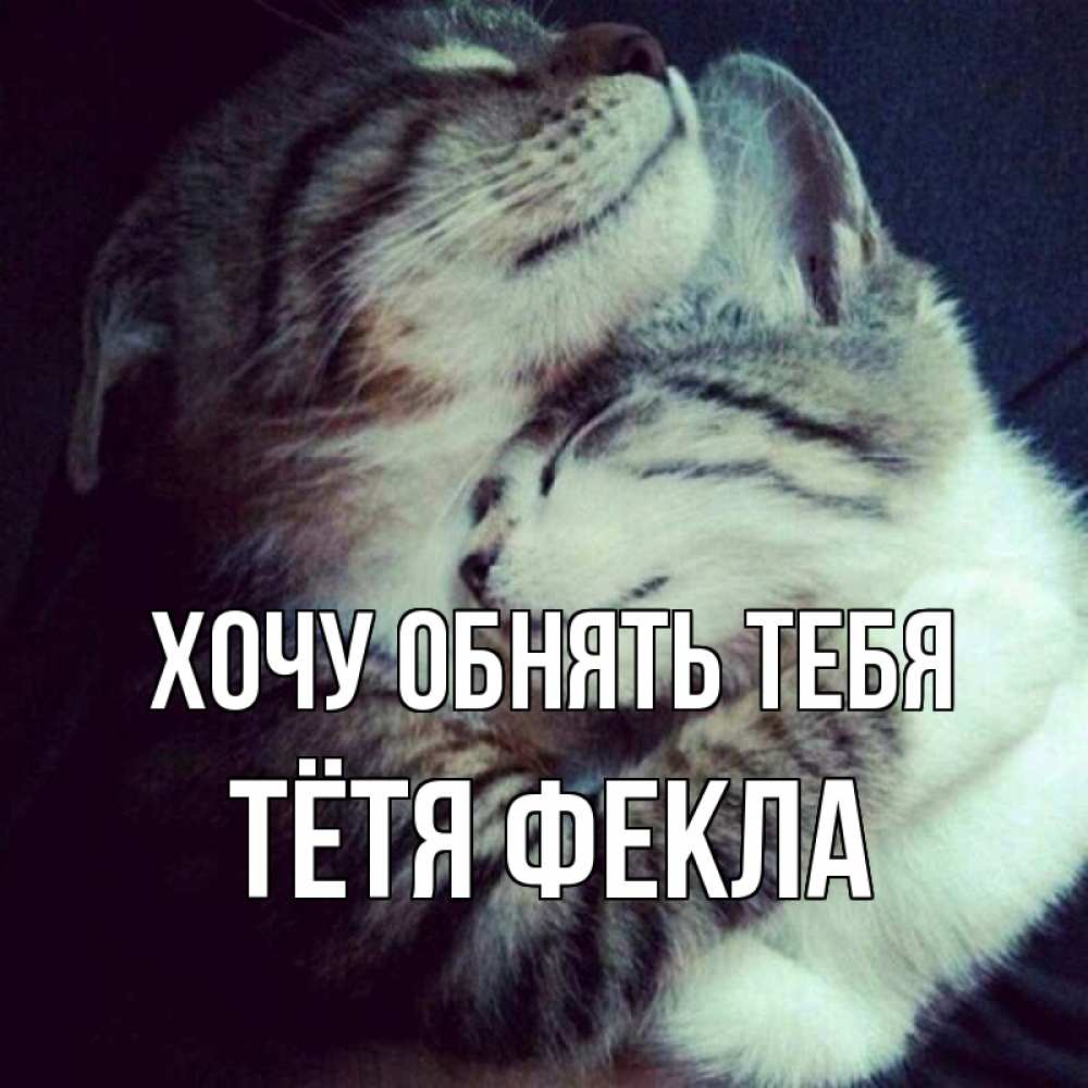 Открытка на каждый день с именем, Тётя-Фекла Хочу обнять тебя полосатики Прикольная открытка с пожеланием онлайн скачать бесплатно 