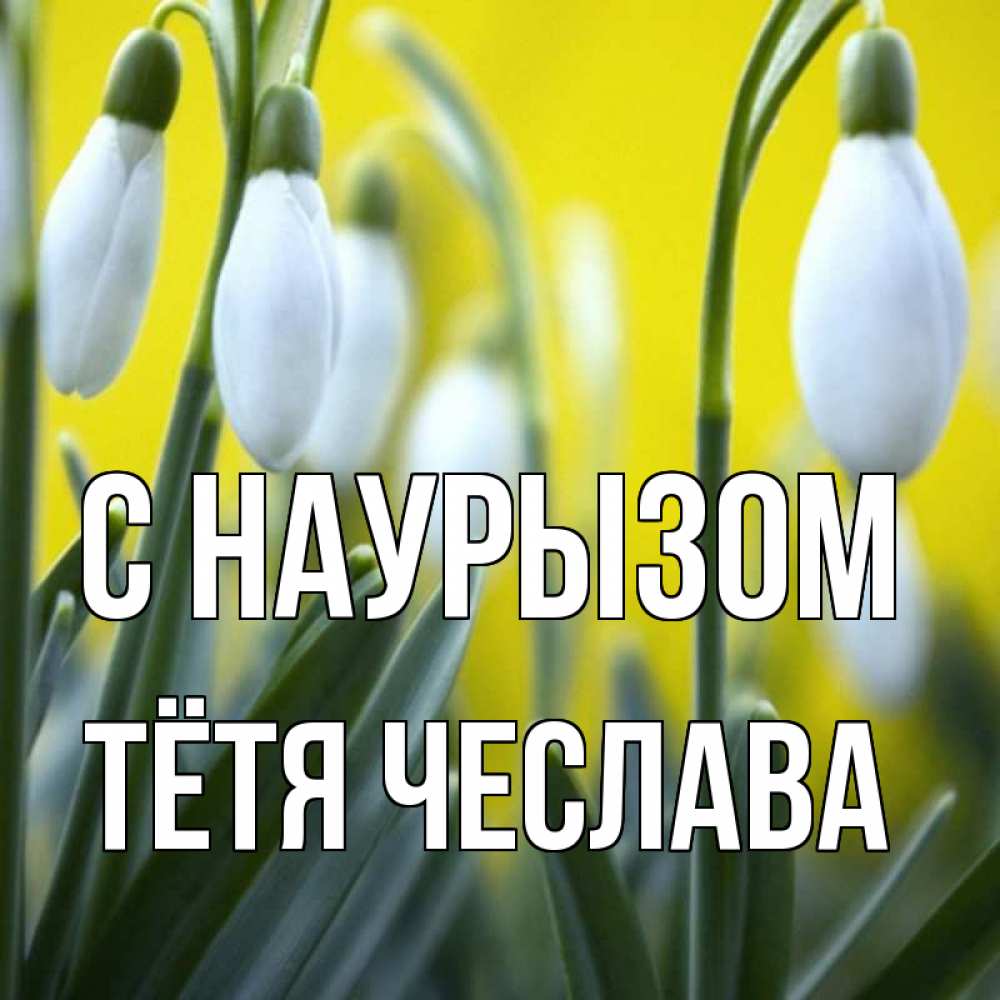 Открытка на каждый день с именем, Тётя-Чеслава С наурызом весенние цветы Прикольная открытка с пожеланием онлайн скачать бесплатно 