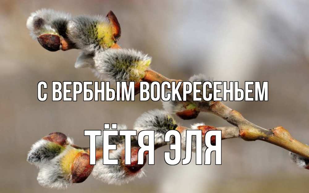 Открытка на каждый день с именем, Тётя-Эля С вербным воскресеньем Верба Прикольная открытка с пожеланием онлайн скачать бесплатно 