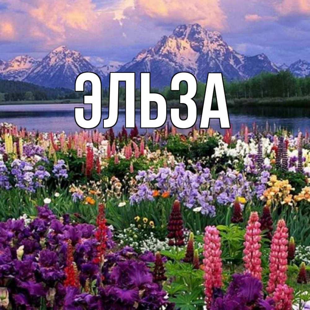 Открытка на каждый день с именем, Эльза Главная праздник весны наурыз Прикольная открытка с пожеланием онлайн скачать бесплатно 