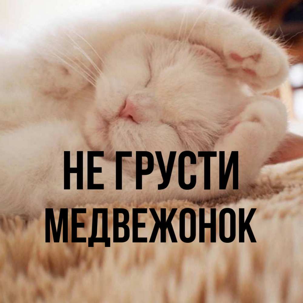 Картинка мишка не грусти