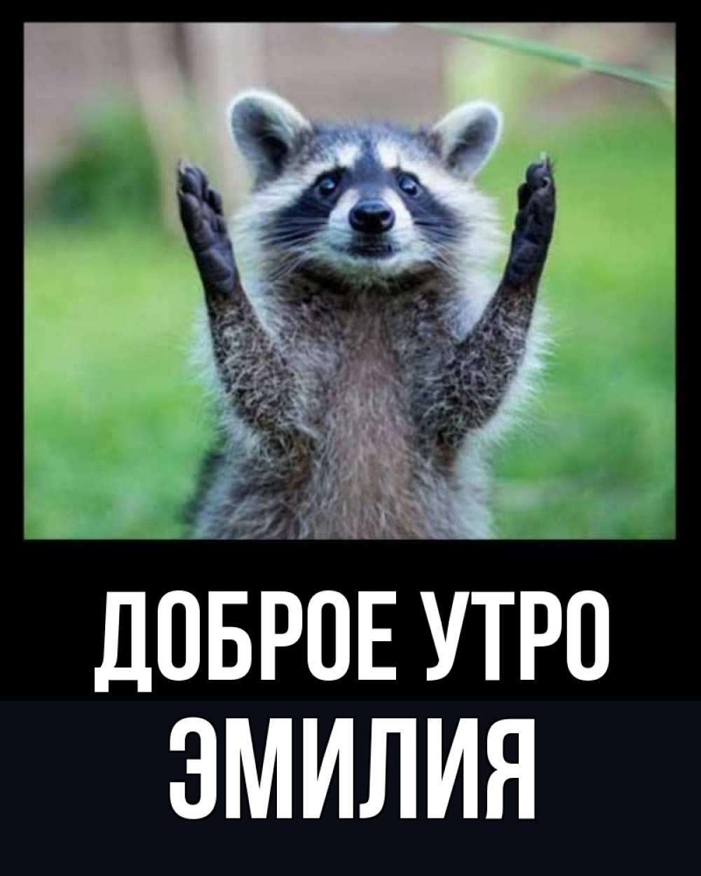 Открытка на каждый день с именем, Эмилия Доброе утро хорошее настроение утречком Прикольная открытка с пожеланием онлайн скачать бесплатно 