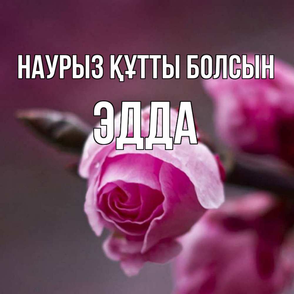 Открытка на каждый день с именем, Эдда Наурыз құтты болсын весна Прикольная открытка с пожеланием онлайн скачать бесплатно 