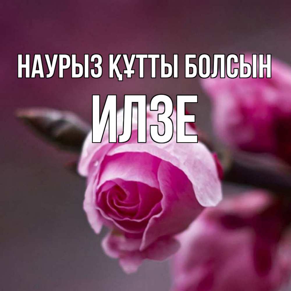 Открытка на каждый день с именем, Илзе Наурыз құтты болсын весна Прикольная открытка с пожеланием онлайн скачать бесплатно 