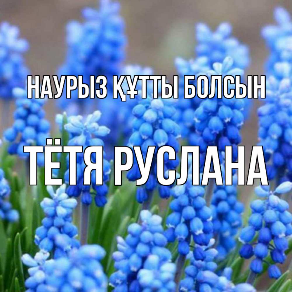 Открытка на каждый день с именем, Тётя-Руслана Наурыз құтты болсын Поздравительная открытка для женщин с цветами на праздничную дату Прикольная открытка с пожеланием онлайн скачать бесплатно 