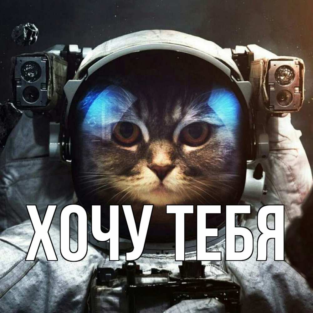 Открытка на каждый день с именем, Хочу-тебя Главная желает удачно добраться Прикольная открытка с пожеланием онлайн скачать бесплатно 