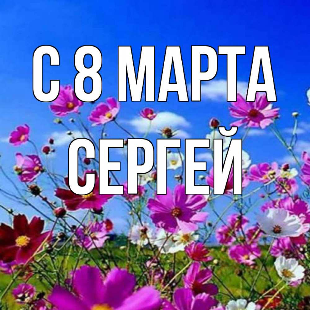 Открытка на каждый день с именем, Сергей С 8 марта цветы Прикольная открытка с пожеланием онлайн скачать бесплатно 