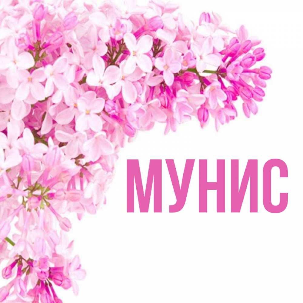 Картинка Муниса Имя
