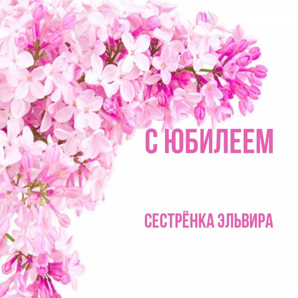 Открытка на каждый день с именем, Сестрёнка-Эльвира С юбилеем Сирень на белом фоне Прикольная открытка с пожеланием онлайн скачать бесплатно 