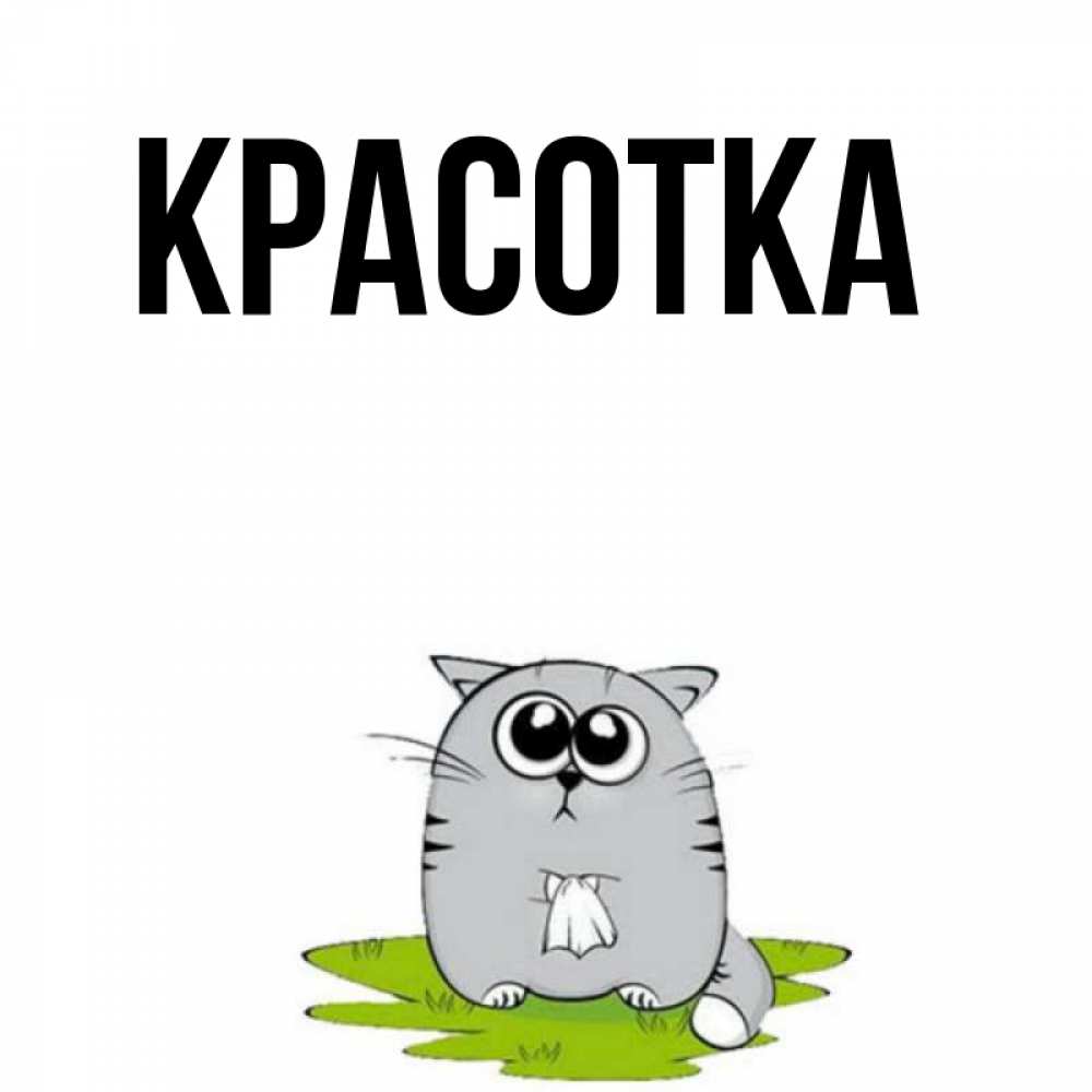 Открытка на каждый день с именем, красотка Главная котик теребит платочек сидя на травке Прикольная открытка с пожеланием онлайн скачать бесплатно 
