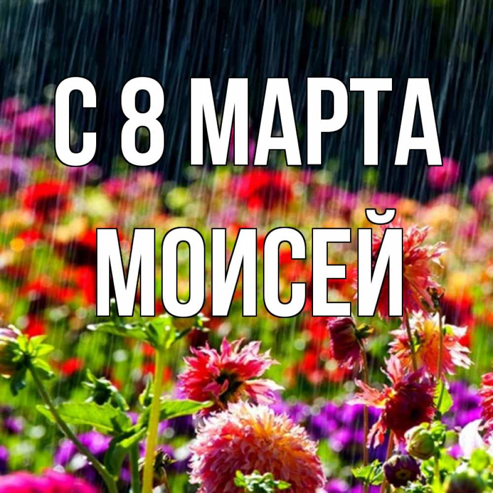 Картинка С 8 марта, Моисей