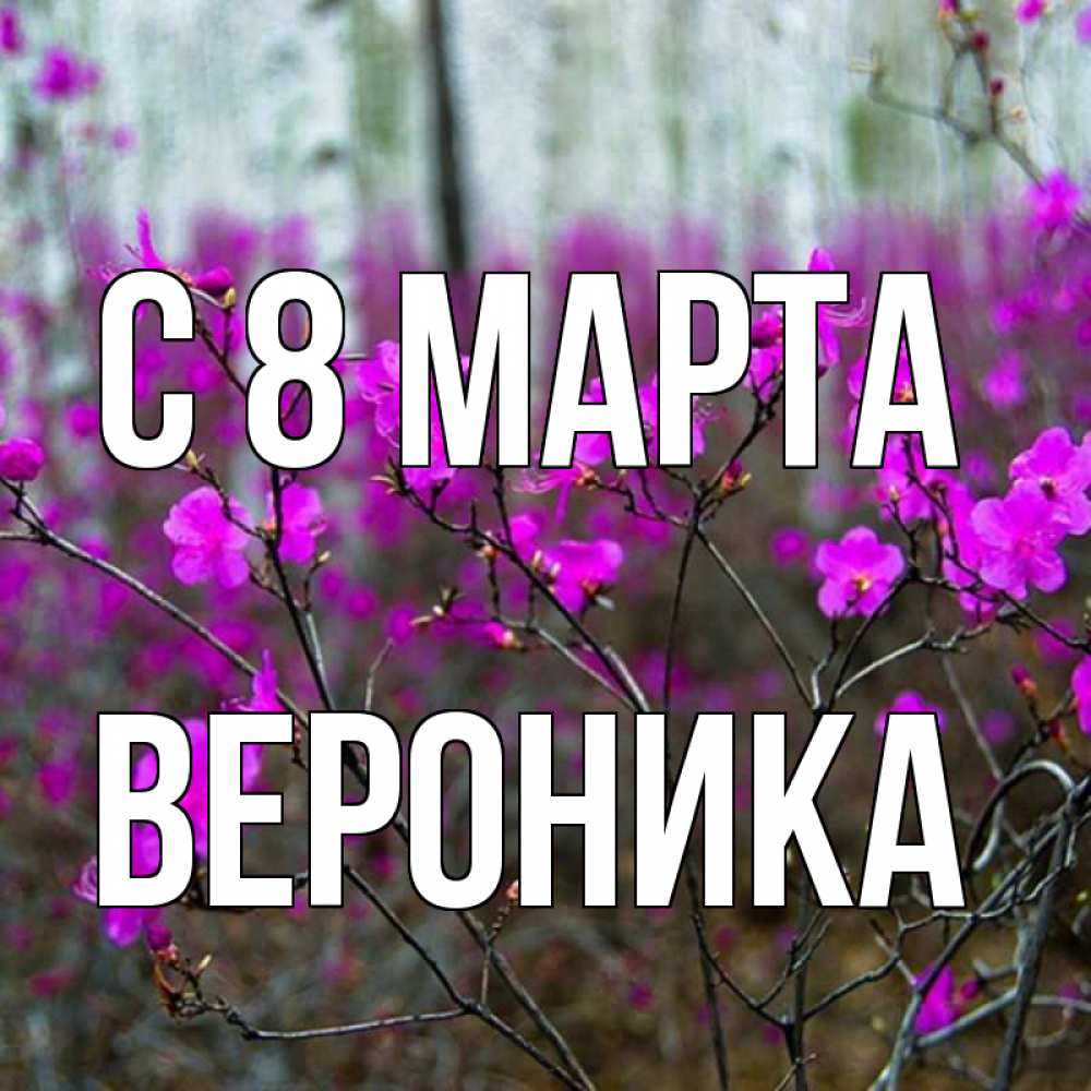 Открытка на каждый день с именем, вероника С 8 МАРТА дикие цветы Прикольная открытка с пожеланием онлайн скачать бесплатно 