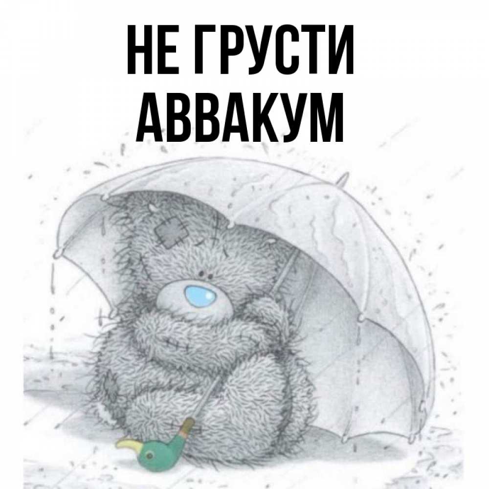 Открытка на каждый день с именем, Аввакум Не грусти спасите мишку Тедди Прикольная открытка с пожеланием онлайн скачать бесплатно 