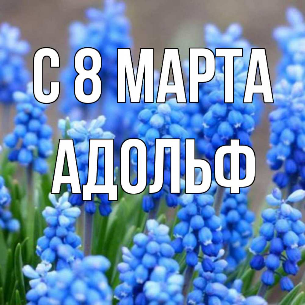 Открытка на каждый день с именем, Адольф С 8 МАРТА Поздравительная открытка для женщин с цветами на праздничную дату Прикольная открытка с пожеланием онлайн скачать бесплатно 