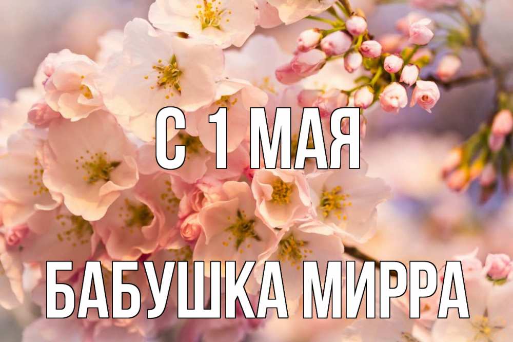 Открытка на каждый день с именем, Бабушка-Мирра С 1 мая С 1 мая Прикольная открытка с пожеланием онлайн скачать бесплатно 