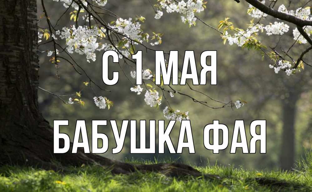 Открытка на каждый день с именем, Бабушка-Фая С 1 мая С 1 мая Прикольная открытка с пожеланием онлайн скачать бесплатно 