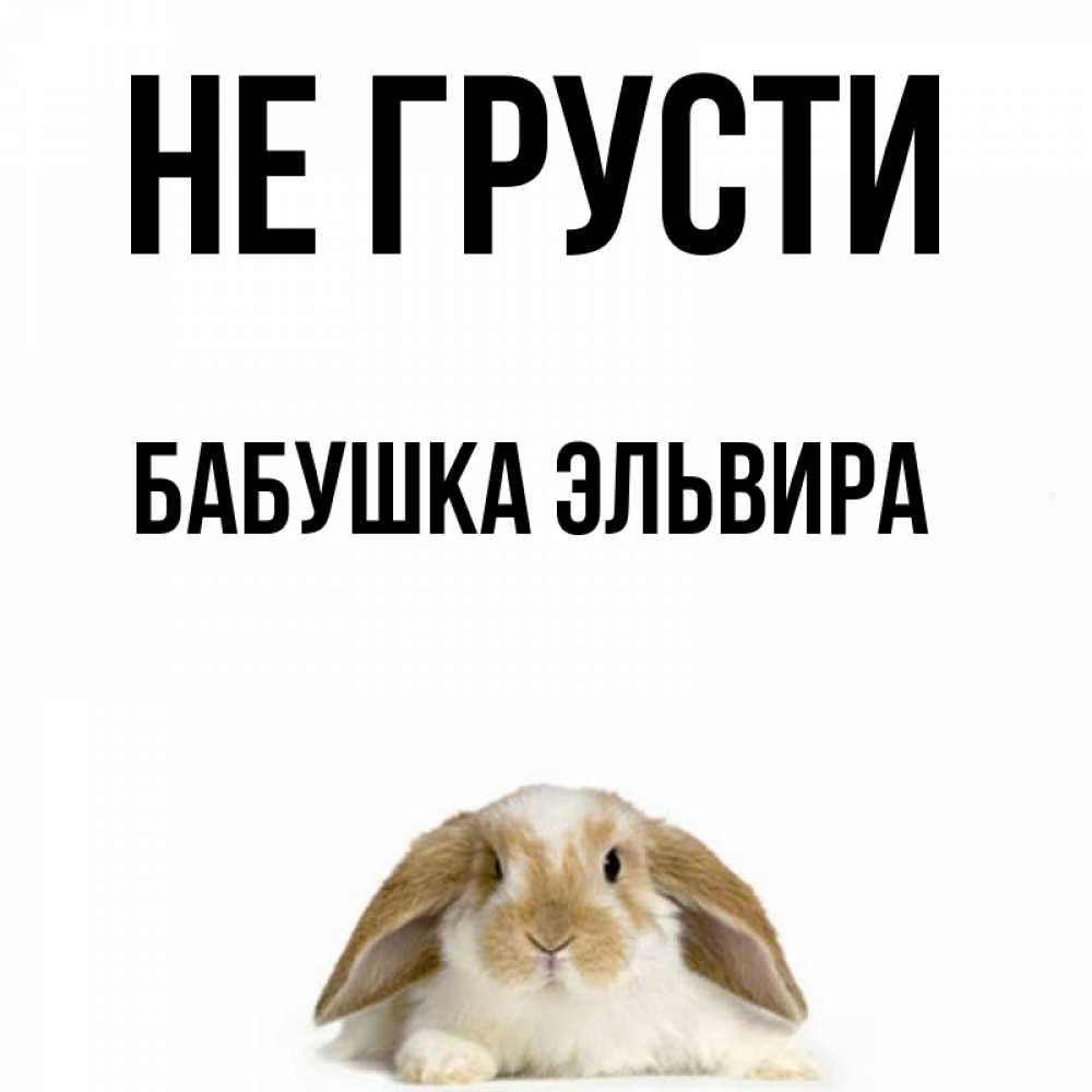 Открытка на каждый день с именем, Бабушка-Эльвира Не грусти коричнево белый заяц с большими ушками Прикольная открытка с пожеланием онлайн скачать бесплатно 