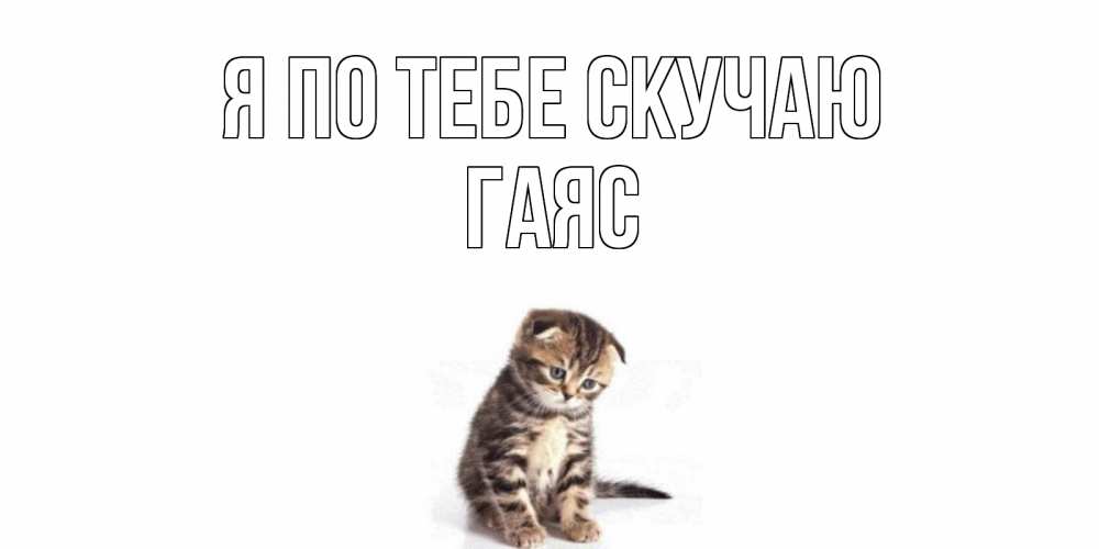 Открытка на каждый день с именем, Гаяс Я по тебе скучаю кот Прикольная открытка с пожеланием онлайн скачать бесплатно 