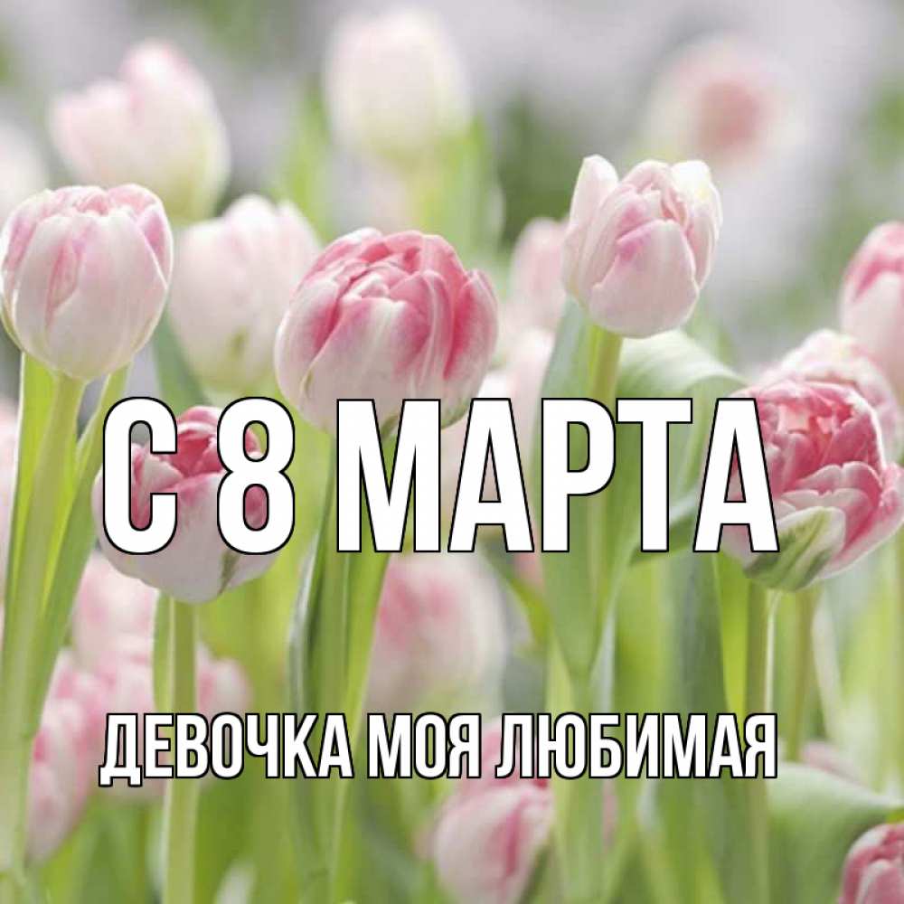 Открытка на каждый день с именем, Девочка-моя-любимая С 8 марта цветы Прикольная открытка с пожеланием онлайн скачать бесплатно 