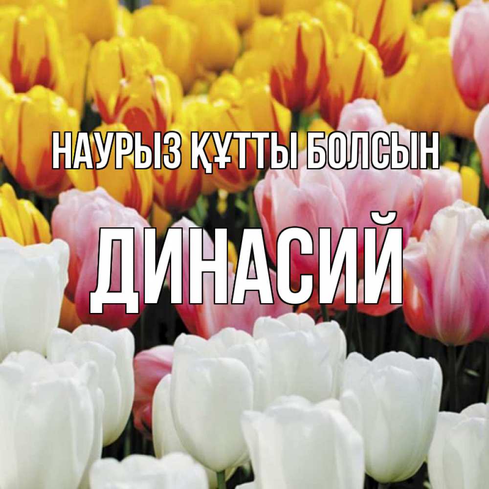 Открытка на каждый день с именем, Динасий Наурыз құтты болсын разноцветные цветы Прикольная открытка с пожеланием онлайн скачать бесплатно 