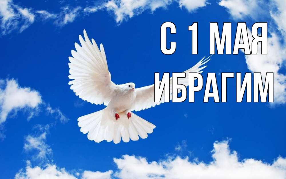 Открытка на каждый день с именем, Ибрагим С 1 мая С 1 мая 1 Прикольная открытка с пожеланием онлайн скачать бесплатно 