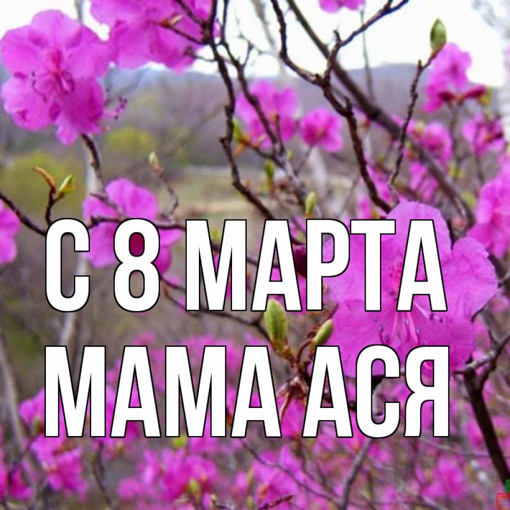 Открытка на каждый день с именем, Мама-Ася С 8 МАРТА международный женский день Прикольная открытка с пожеланием онлайн скачать бесплатно 