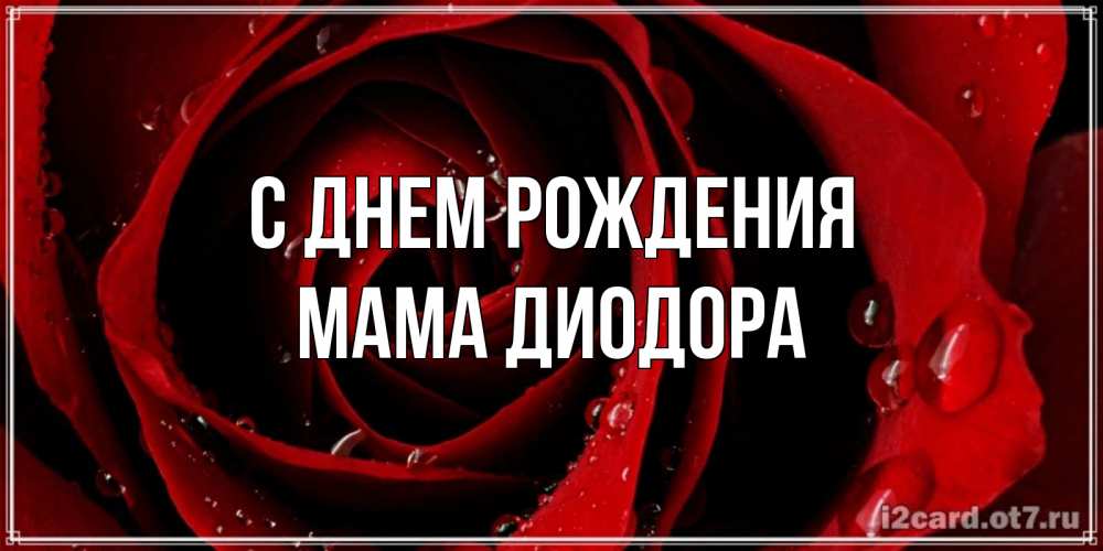 Открытка на каждый день с именем, Мама-Диодора С днем рождения крупная бордовая роза Прикольная открытка с пожеланием онлайн скачать бесплатно 