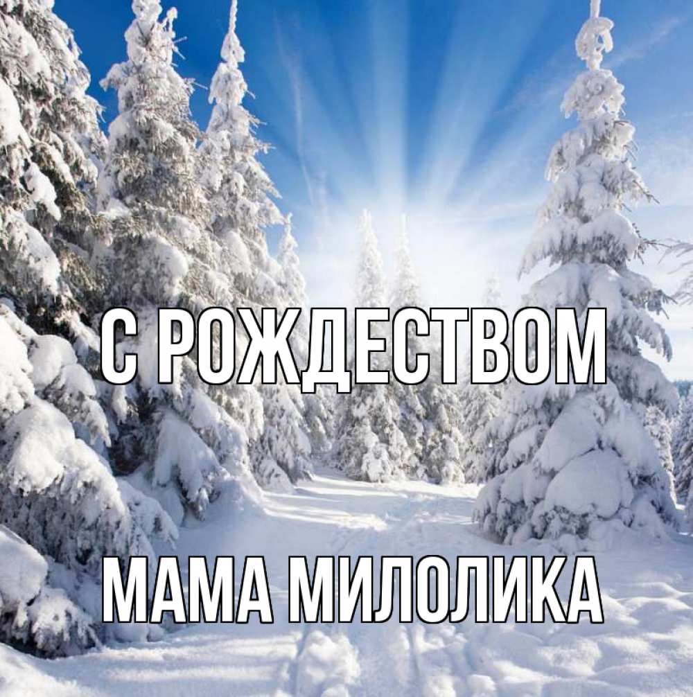 Открытка на каждый день с именем, Мама-Милолика С рождеством зима, лес Прикольная открытка с пожеланием онлайн скачать бесплатно 