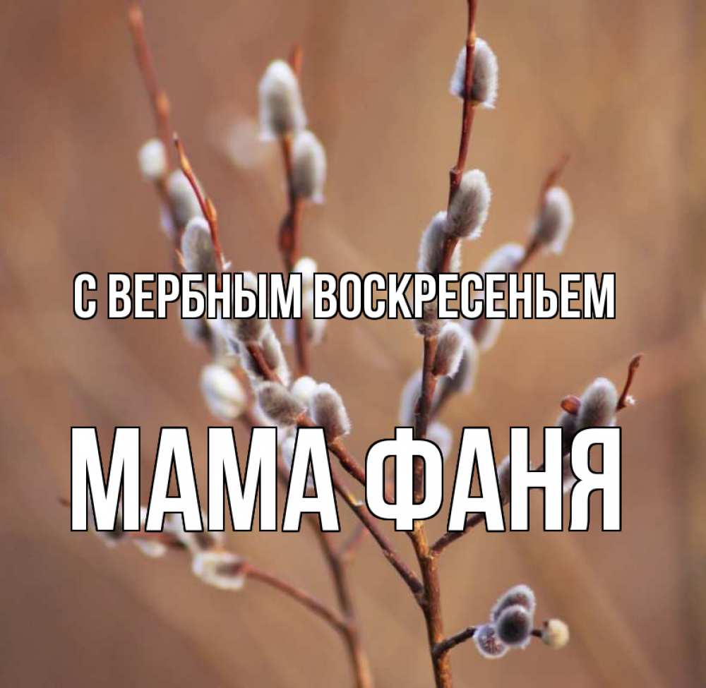Открытка на каждый день с именем, Мама-Фаня С вербным воскресеньем верба Прикольная открытка с пожеланием онлайн скачать бесплатно 