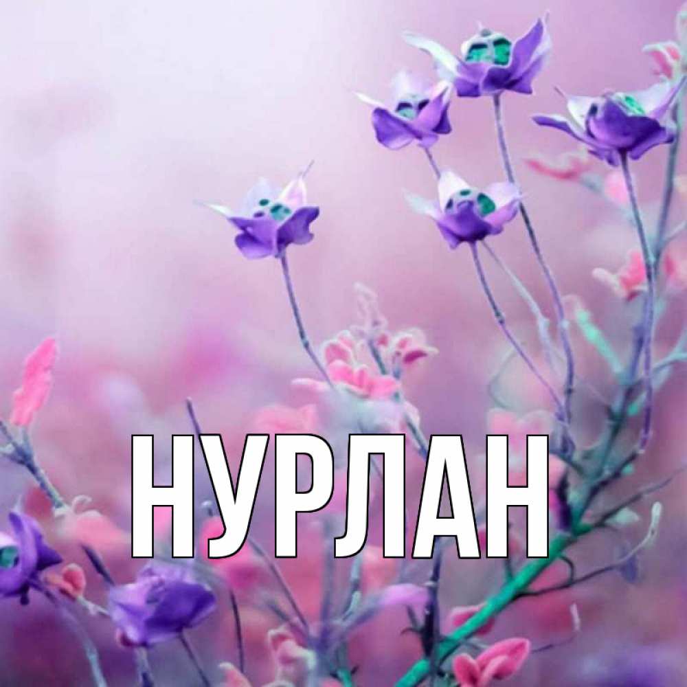Открытка на каждый день с именем, Нурлан Главная международный женский день 2 Прикольная открытка с пожеланием онлайн скачать бесплатно 