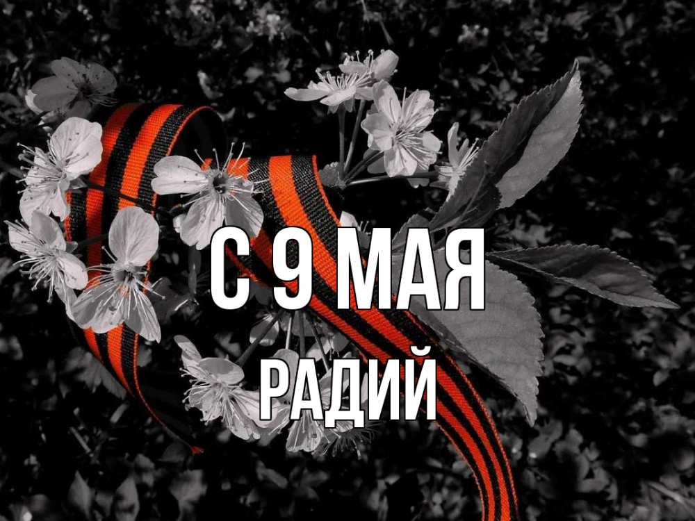 Открытка на каждый день с именем, Радий С 9 мая 9 мая Прикольная открытка с пожеланием онлайн скачать бесплатно 
